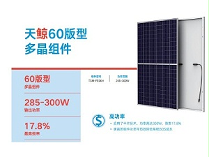 天合光能太阳能板标准多晶天鲸120系列PE06H天合光能太阳能电池板